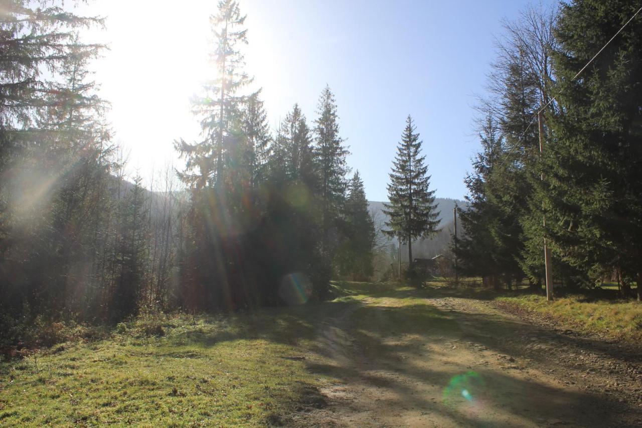 Котедж Mountain House Yaremche Dış mekan fotoğraf