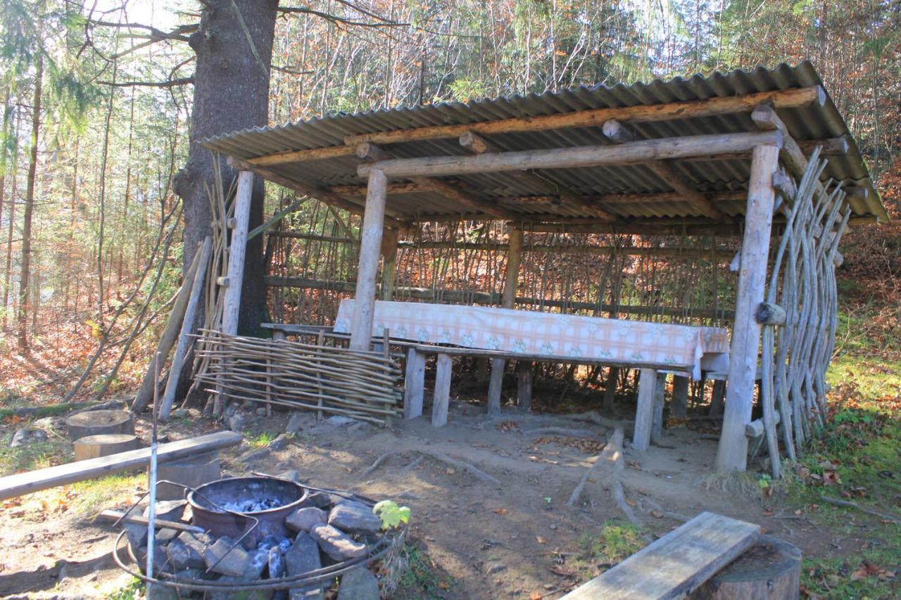 Котедж Mountain House Yaremche Dış mekan fotoğraf